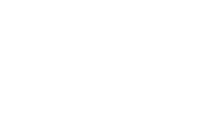 Logo da Brother Motos