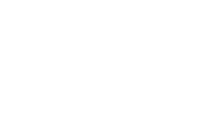 Logo da Day Brasil
