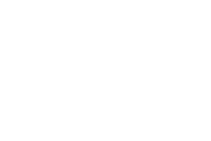 Logo da Next